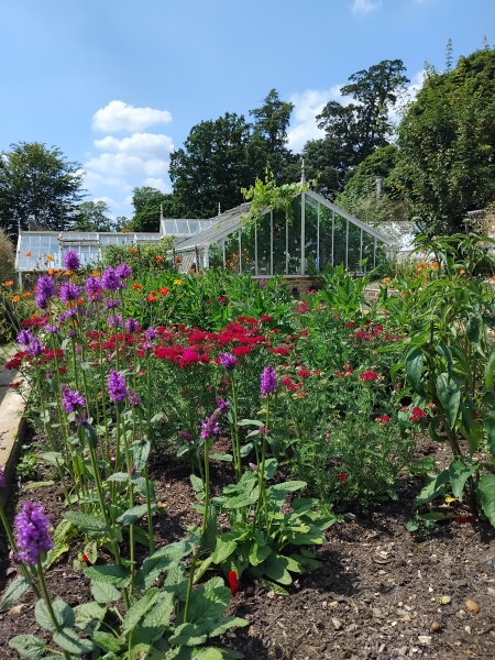 Stud Nursery Community Garden